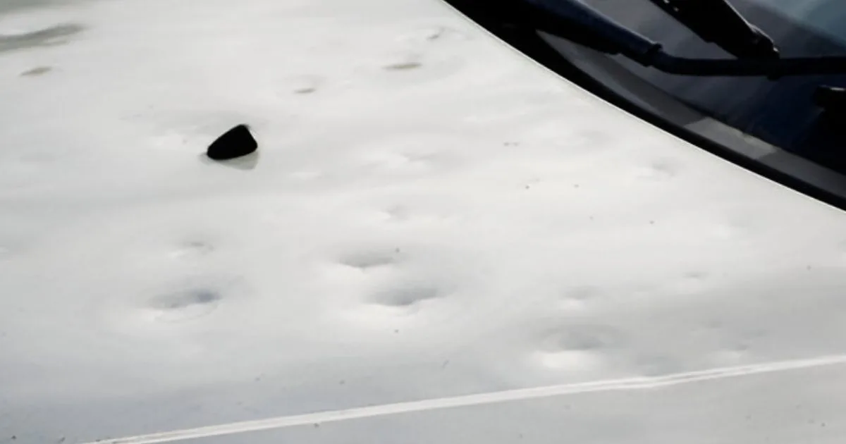 Essential Tools For The Task