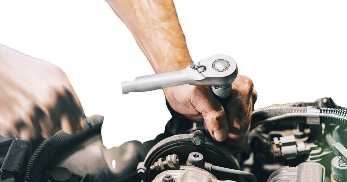 Maintenance And Care For Your Distributor