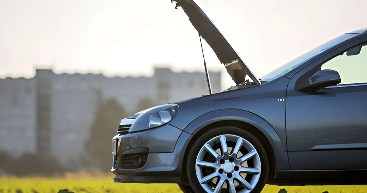 Professional Help And Permanent Fixes on Car Hood